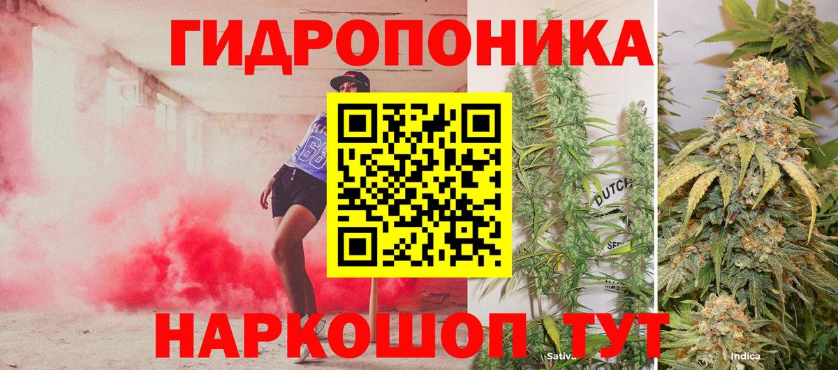 Шишки марихуана ГИДРОПОН Краснотурьинск